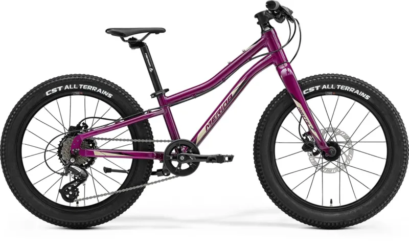 Merida Matts J20+ Disc, Rigid Fork - Purple (Black/Champagne)