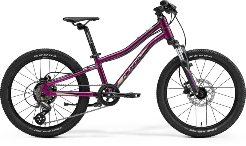 Merida Matts J20 Disc, Suspension - Purple (Black/Champagne)