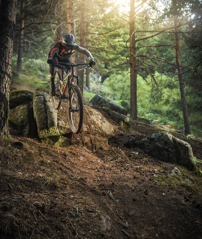 Mountain Bikes
