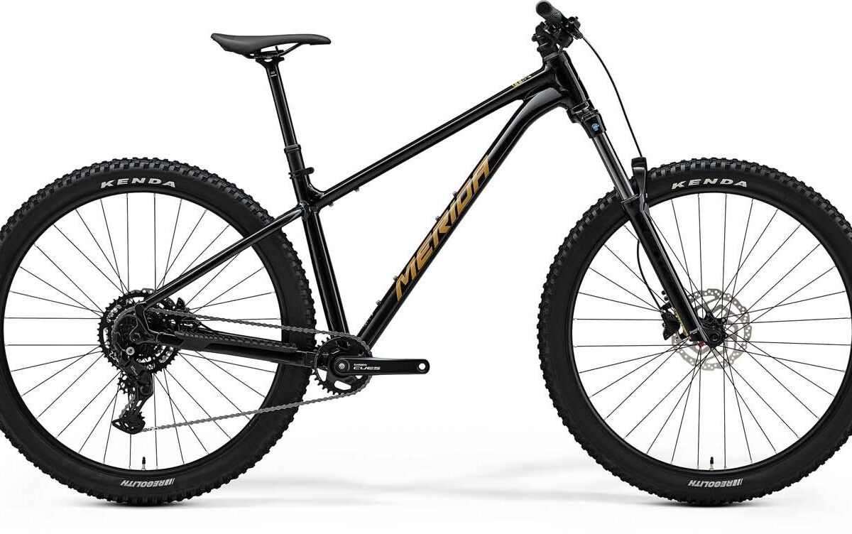 Merida BIG.TRAIL 300 Black-Brown