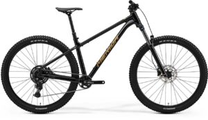 Merida BIG.TRAIL 300 Black-Brown