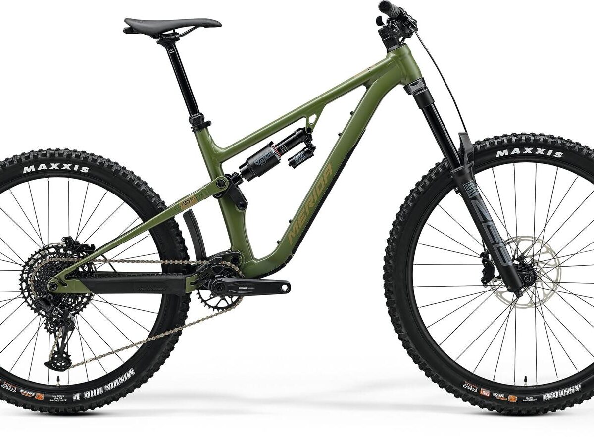Merida25 One-Sixty 700 Silk Anaconda Green/Brown