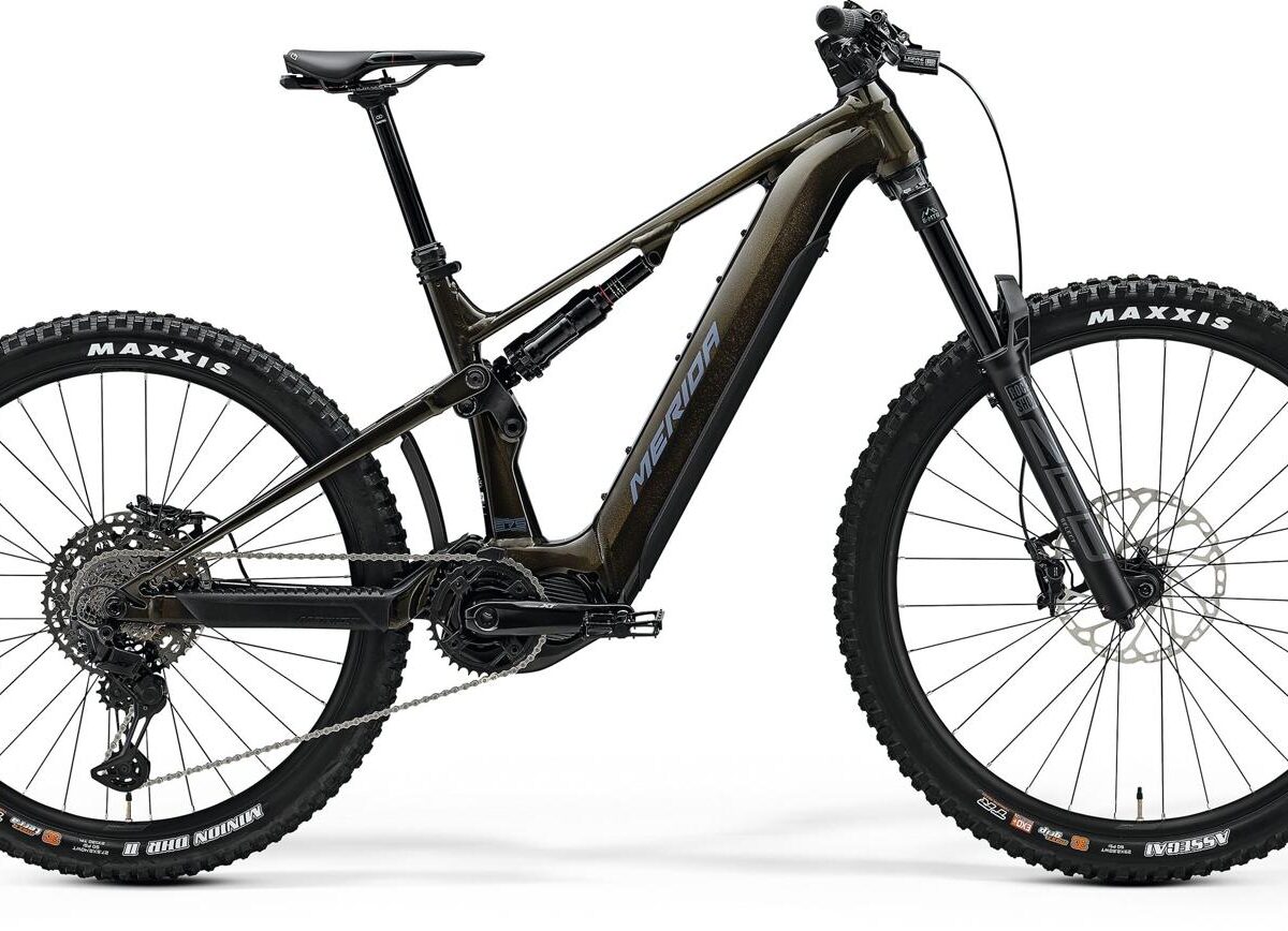 Merida25 Merida eONE-SIXTY 875 Guarded Gold-Grey