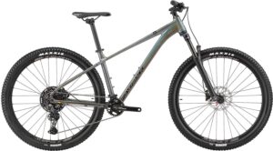 Silverback25 SE Series 10 29 Rainbow Pearl