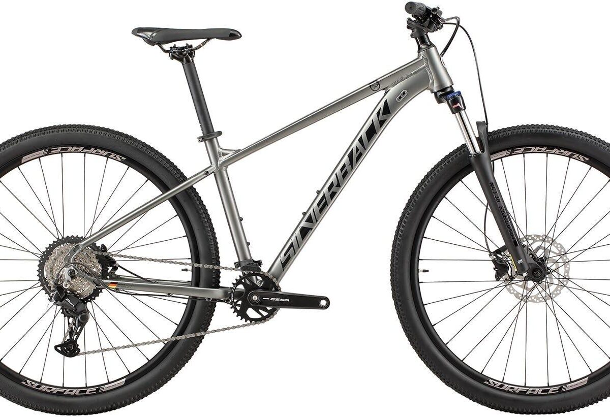 Silverback25 SE Series 8 29 Thunder Grey